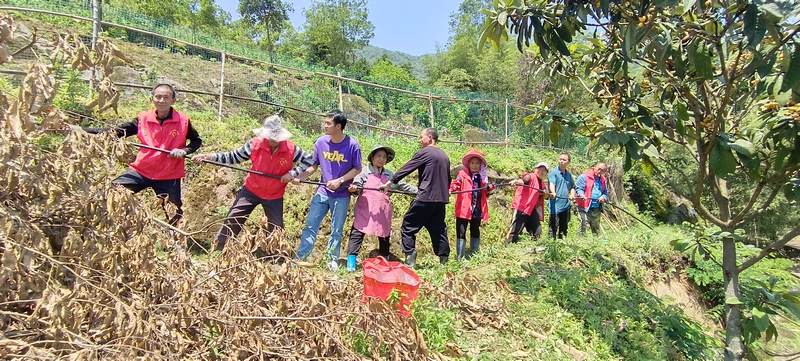 村民同心协力铺设自来水管道  覃凤维摄 (3).jpg
