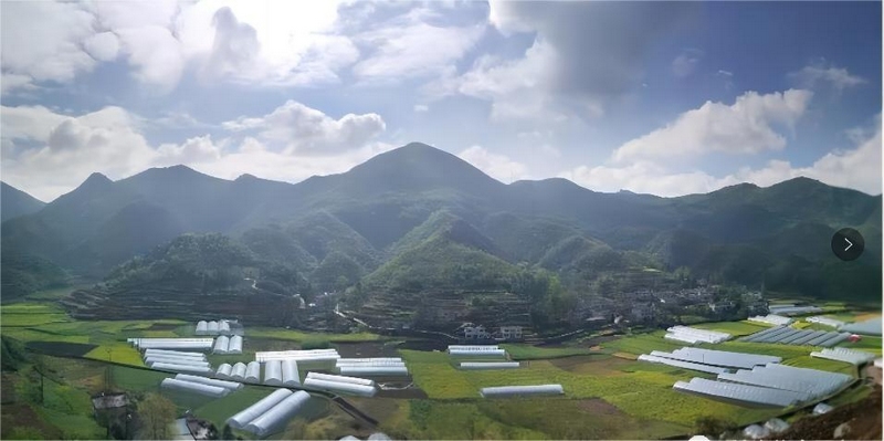 息烽县永靖镇下洪马草莓园。
