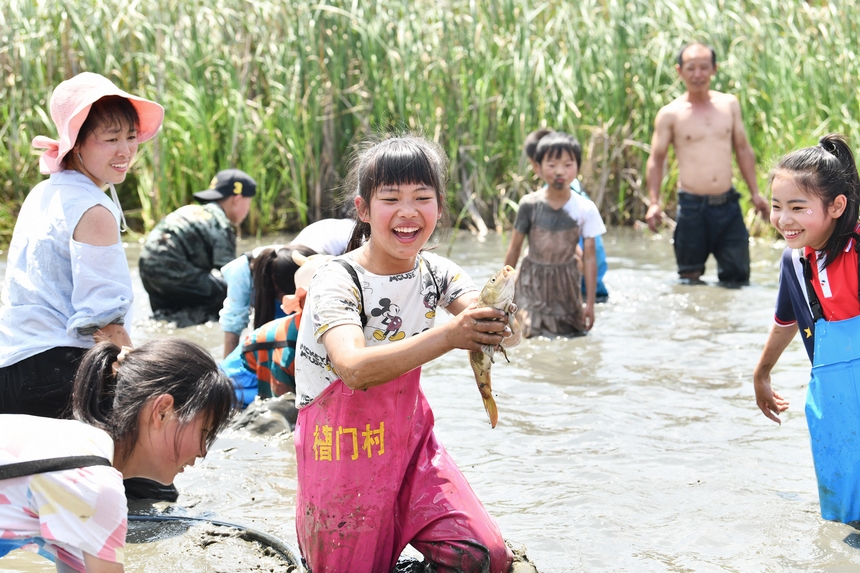 5月28日，在贵州省毕节市百里杜鹃管理区黄泥乡朝门村拍摄的游客和村民们在稻田里参加捉鱼活动。