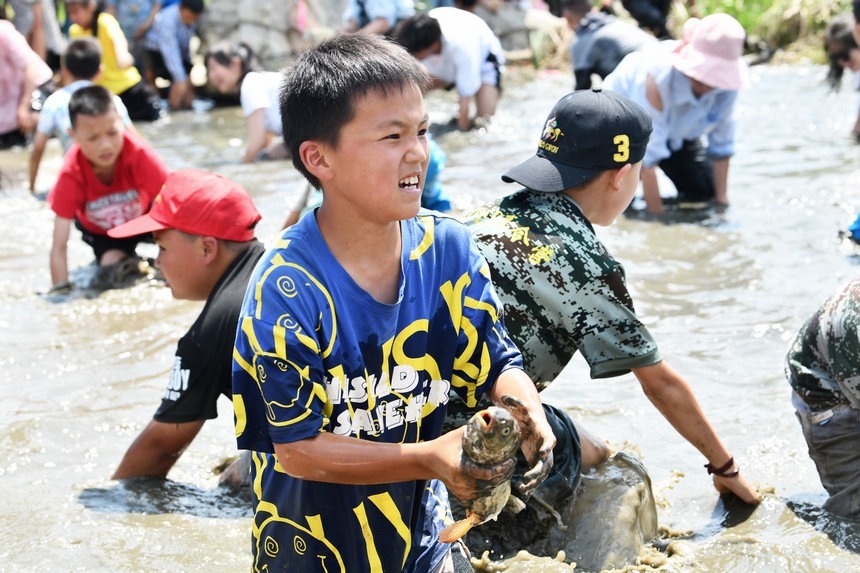 5月28日，在贵州省毕节市百里杜鹃管理区黄泥乡朝门村拍摄的游客和村民们在稻田里参加捉鱼活动。