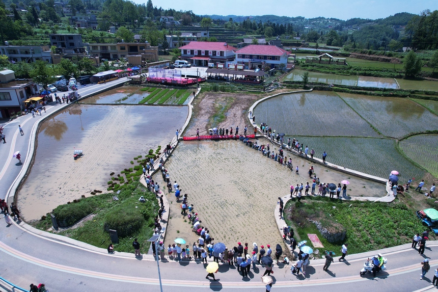 5月28日，在贵州省毕节市百里杜鹃管理区黄泥乡朝门村拍摄的游客和村民在稻田里参加插秧活动。
