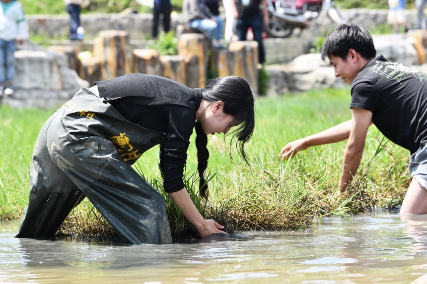 5月28日，在贵州省毕节市百里杜鹃管理区黄泥乡朝门村拍摄的游客正在参加捉鱼活动。