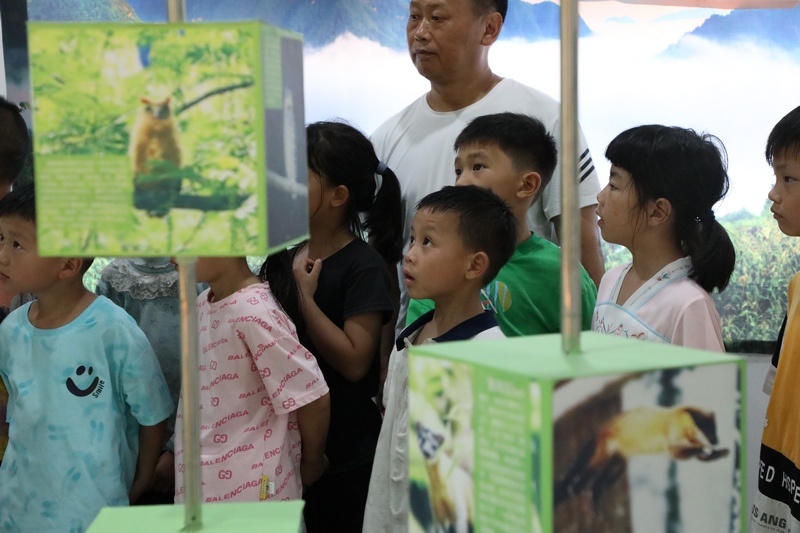 圖為石阡縣坪山鄉坪洋小學學生參觀佛頂山自然教育中心科普展館，了解佛頂山國家級自然保護區，增強保護環境意識 楊文美攝 (1).JPG