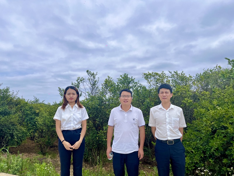 图为兴义册亨支行实地走访册亨县秧弄种养殖专业合作社油茶产业基地。.jpg