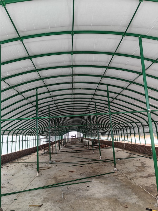 2023年6月1日小坝村三兴养殖场，工人员们正在为鸡舍安装双层保温棚顶.jpg