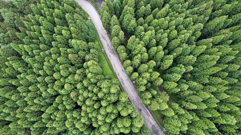 貴州省畢節市七星關區拱攏坪國家森林公園航拍 (5)