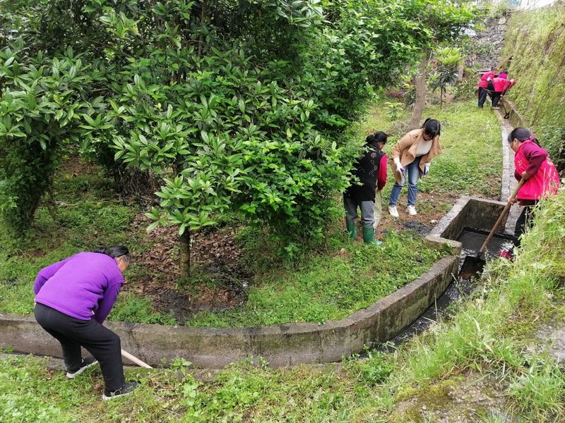 平溪鎮婦女積極參與庭院美化行動，美化農村人居環境。