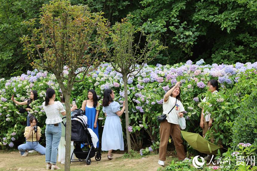 6月10日貴陽觀山湖公園裡游人如織。人民網 潘佳倩攝