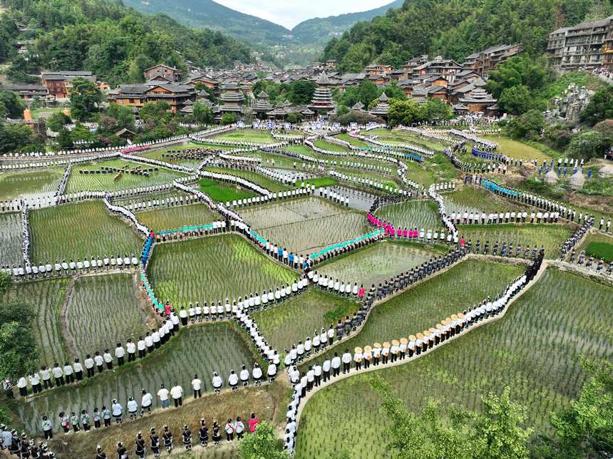 万人侗族大歌田园展示。