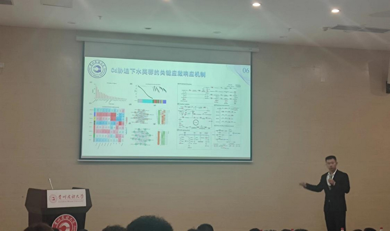 学生作汇报。