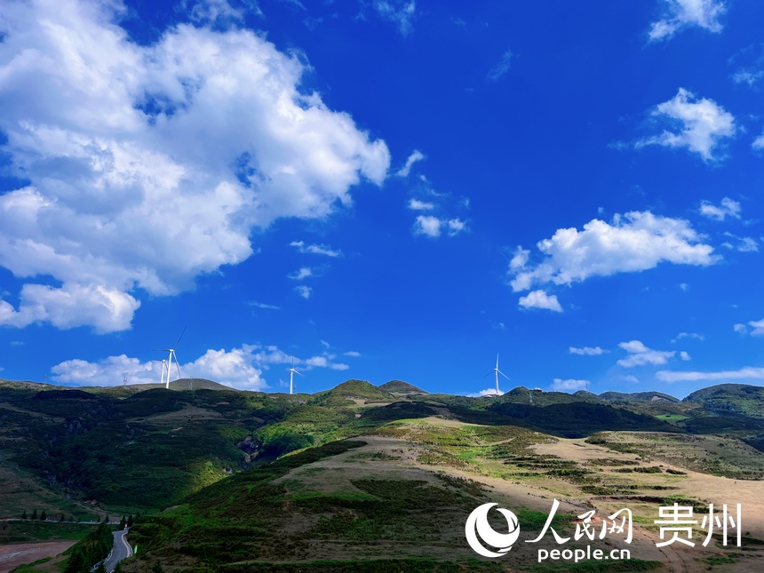 乌蒙大草原夏日景色新。人民网 陈洁泉摄