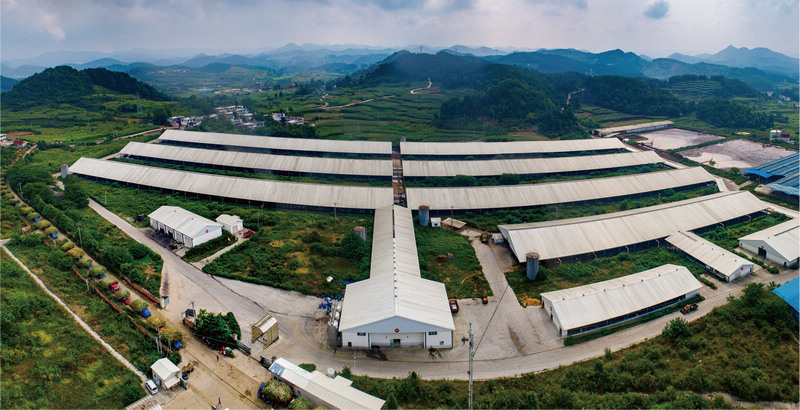 好一多標准化規模化牧場。圖片由好一多提供