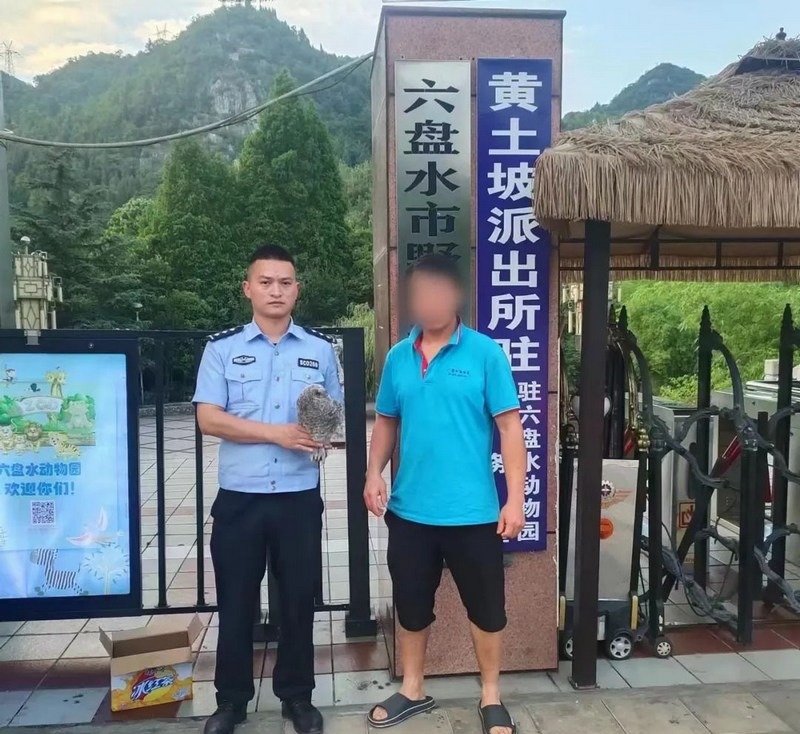 將貓頭鷹幼崽及時送往野生動物救護中心。