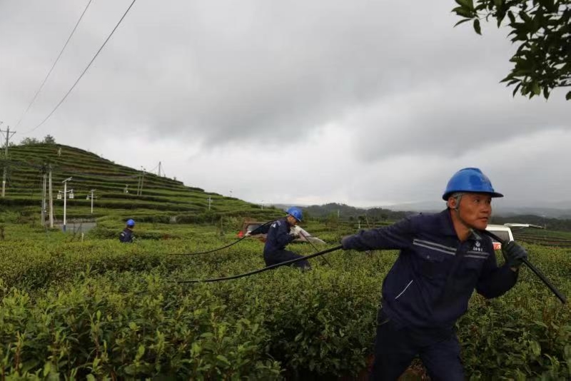 在六盘水水城区,南方电网抢修人员对一条受影响的10千伏线路进行抢修作业。(黄成译 摄).jpg