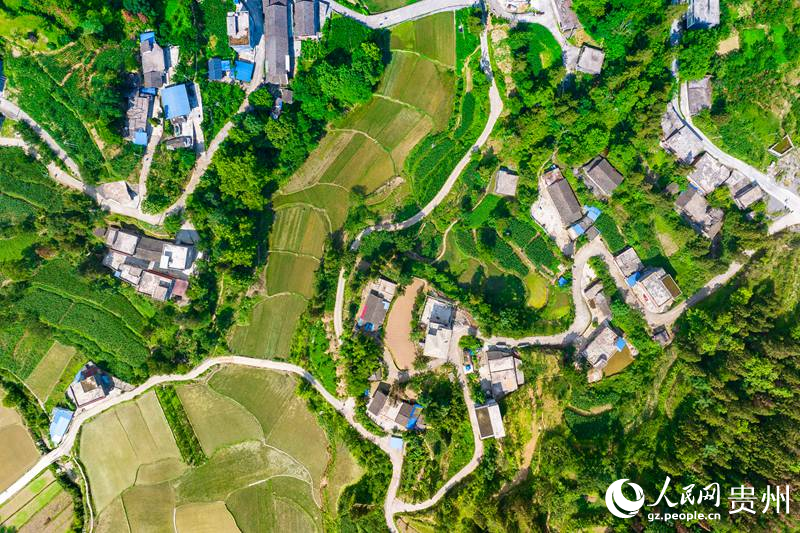 2 航拍贵州省沿河自治县沙子街道云丰村。人民网记者 涂敏 摄