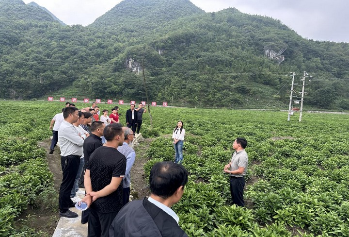 猴场镇乡贤观摩现场会。