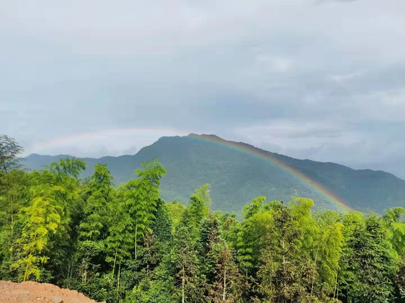 （圖1：赤水市國儲林）