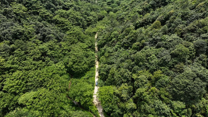 乡村公路。王印摄