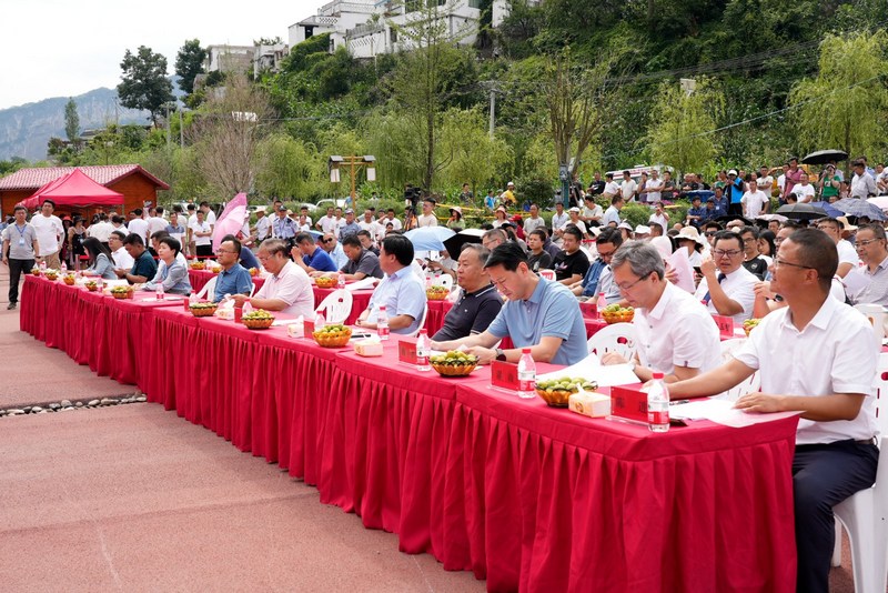 6月28日，第四届酥李采购狂欢节暨“美丽乡村”篮球联赛（贵阳赛区清镇预选赛）百村农民篮球赛开幕式。刘麟 摄.jpg