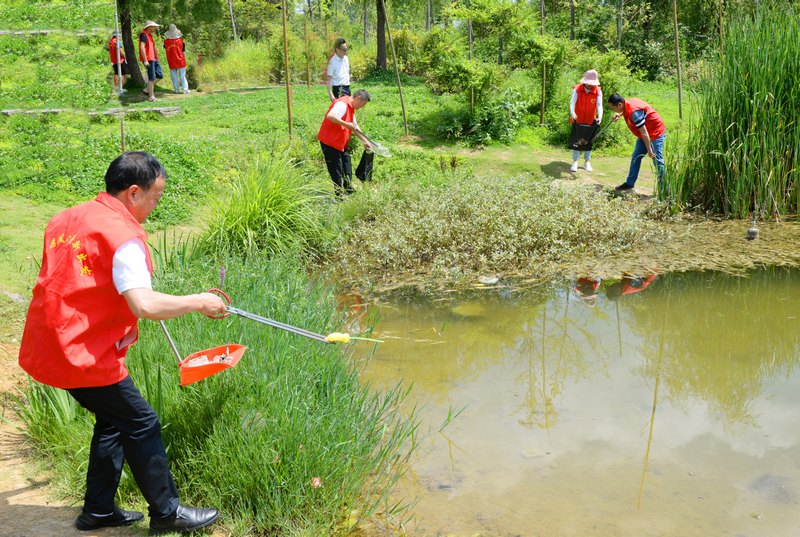 融媒體中心黨員志願者在龍湖濕地公園清理垃圾。