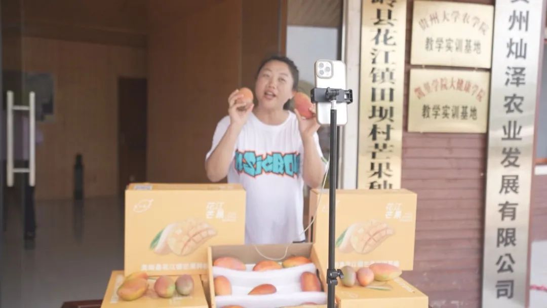 线上直播。