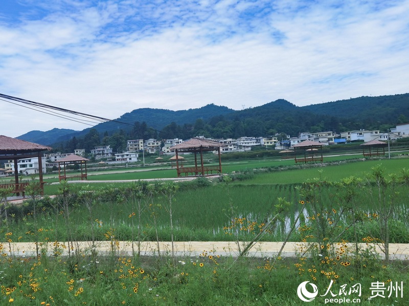 夏日时节，余下村一隅。人民网 王秀芳摄.jpg