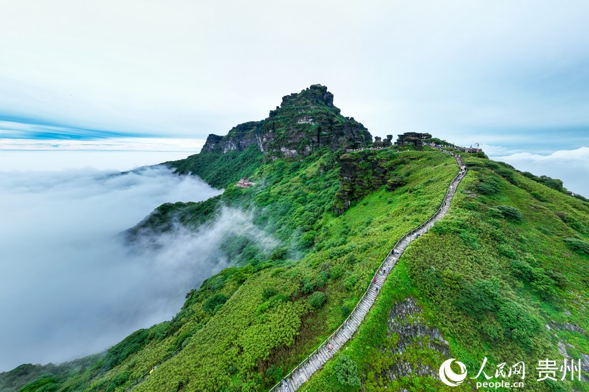 雨后初晴，雲霧繚繞的梵淨山。人民網記者 涂敏攝