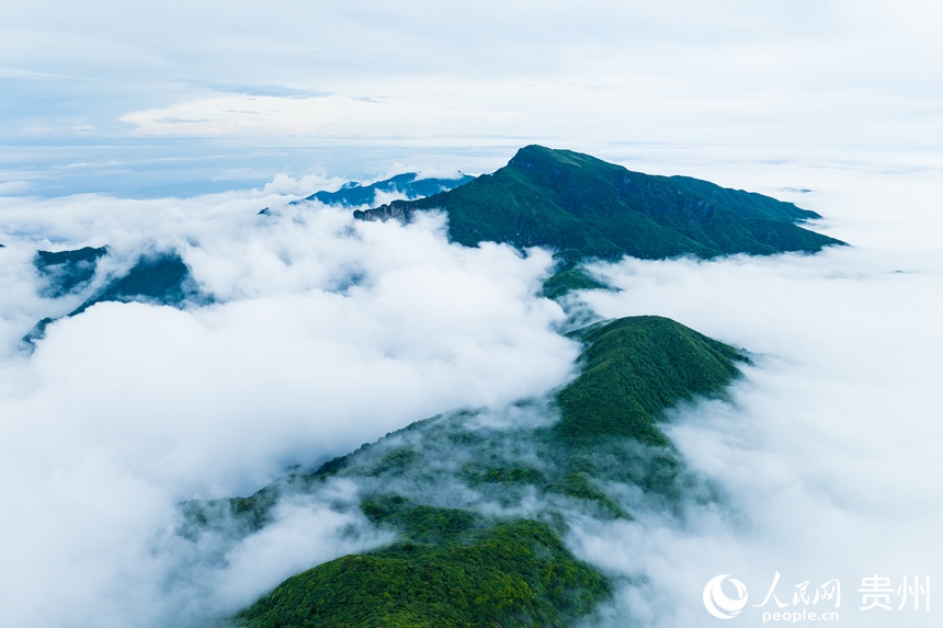 雨后初晴，云雾缭绕的梵净山。人民网记者 涂敏摄