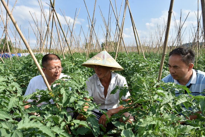 管護現場。