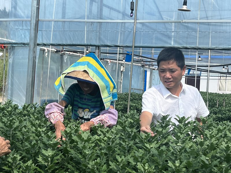 縣政協委員羅太芳指導務工群眾抹花苞.jpg