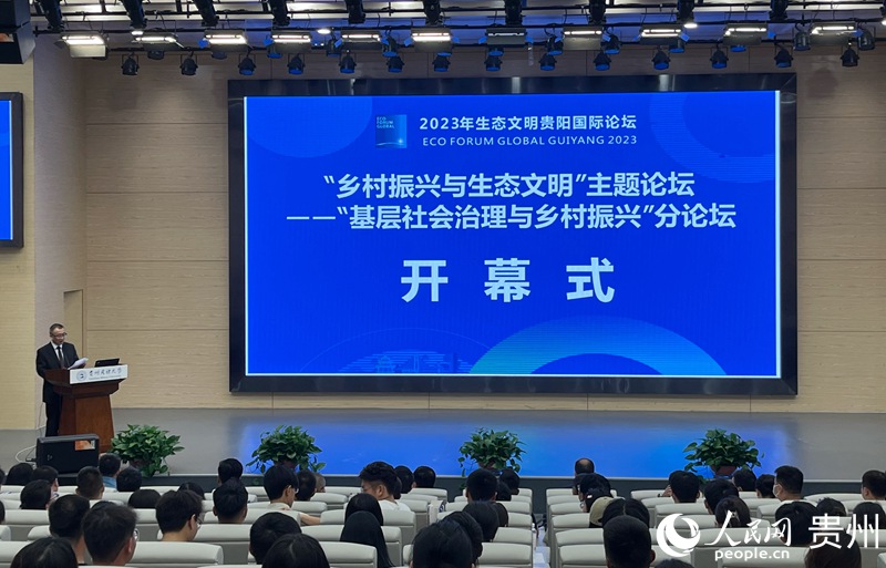 分论坛现场。人民网 高华摄
