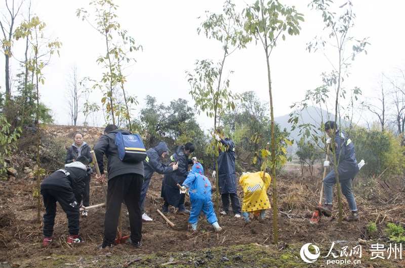 贵州每年组织开展全民义务植树活动。人民网 龙章榆摄