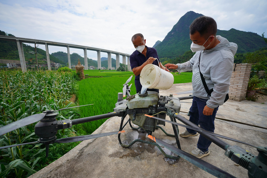 7月10日，植保無人機技術員在裝填噴施農藥。