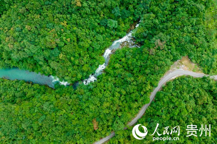 航拍贵州茂兰国家级自然保护区。人民网 涂敏摄