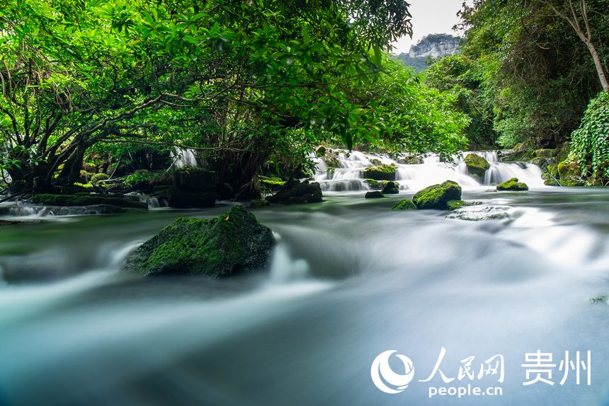 贵州茂兰国家级自然保护区内的溪流。人民网 涂敏摄