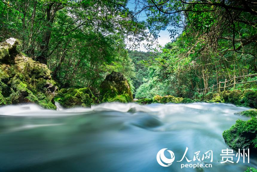 貴州茂蘭國家級自然保護區內的溪流。人民網 涂敏攝