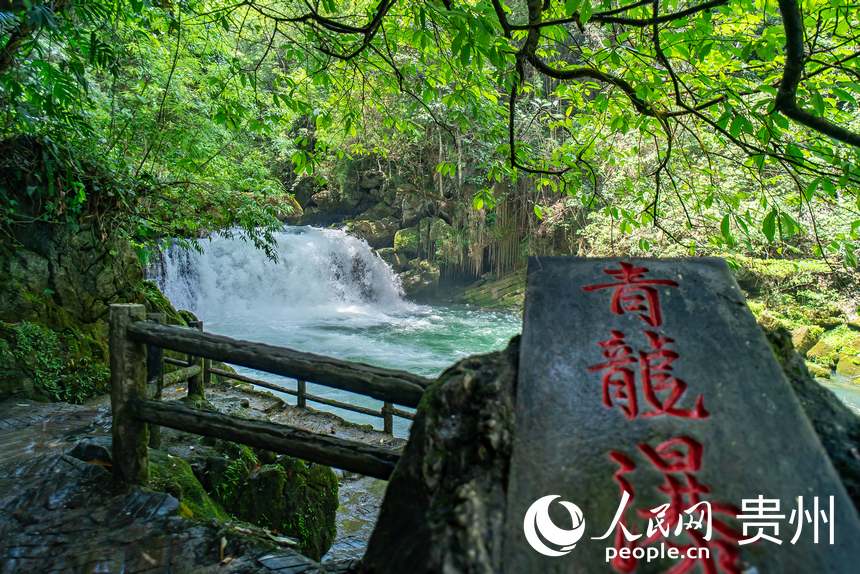 贵州茂兰国家级自然保护区内的瀑布。人民网 涂敏摄