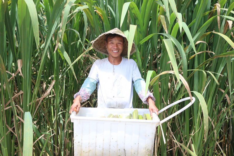 豐收的喜悅。