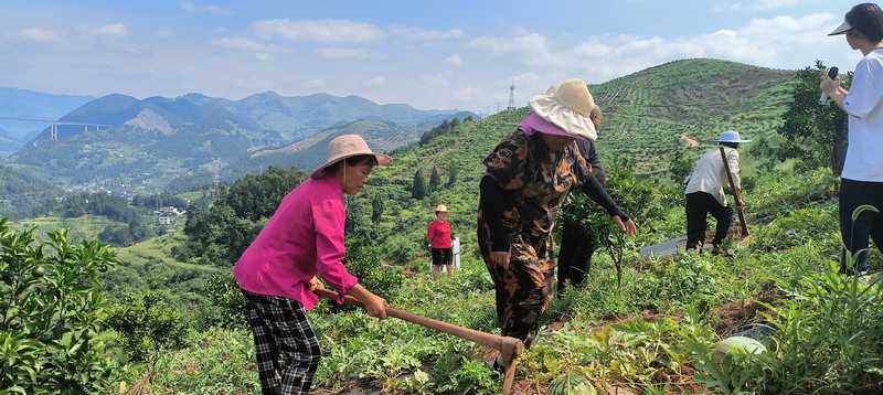 “一地多收”效益高 村民分红有盼头。