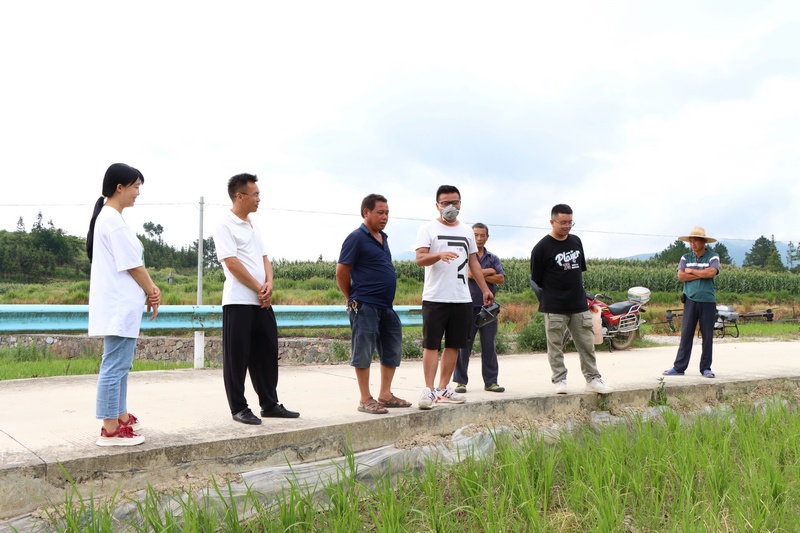 专业技术人员在田间地头开展水稻病虫防治培训会。