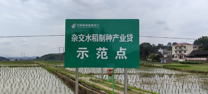 示范点。