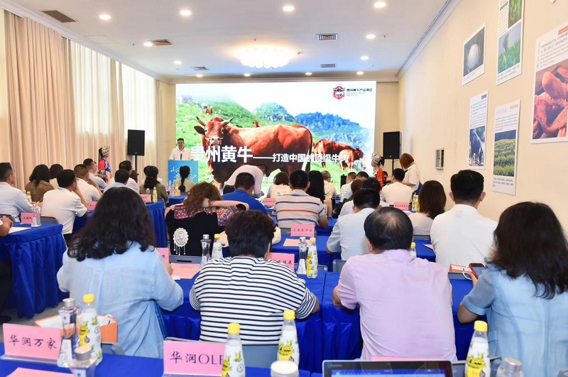 推介會現場。康瑜攝