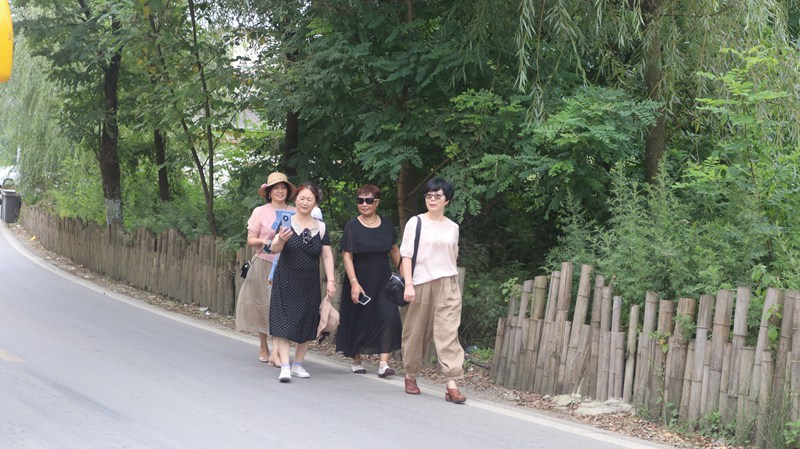 盛夏时节，习水县桑木镇土河村千亩荷塘迎游客 (1)