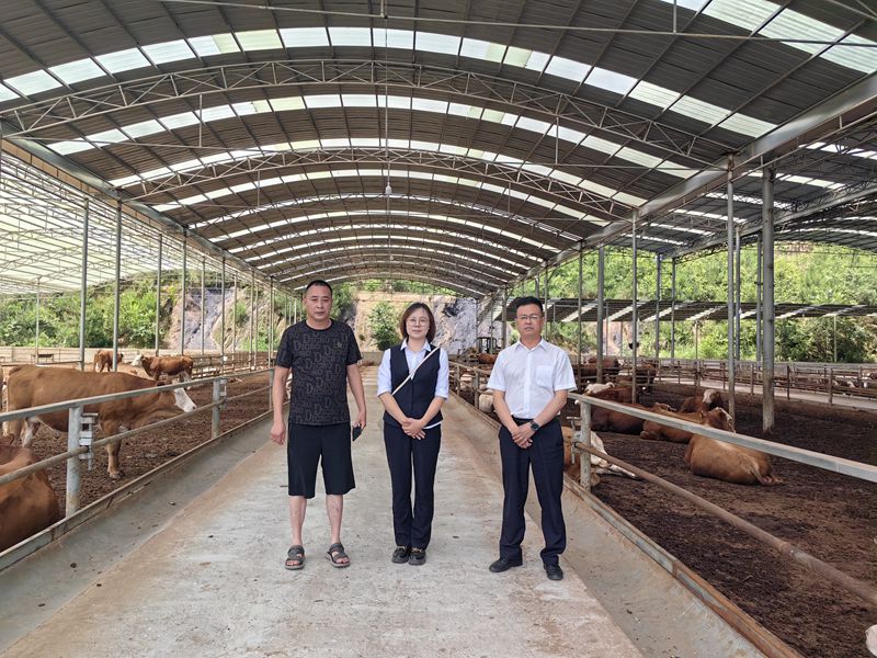 工行毕节黔西支行到肉牛养殖基地调研，做好融资对接。