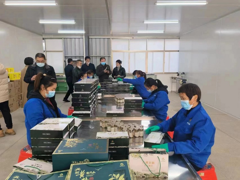 加工厂内工人们将药品打包装袋。