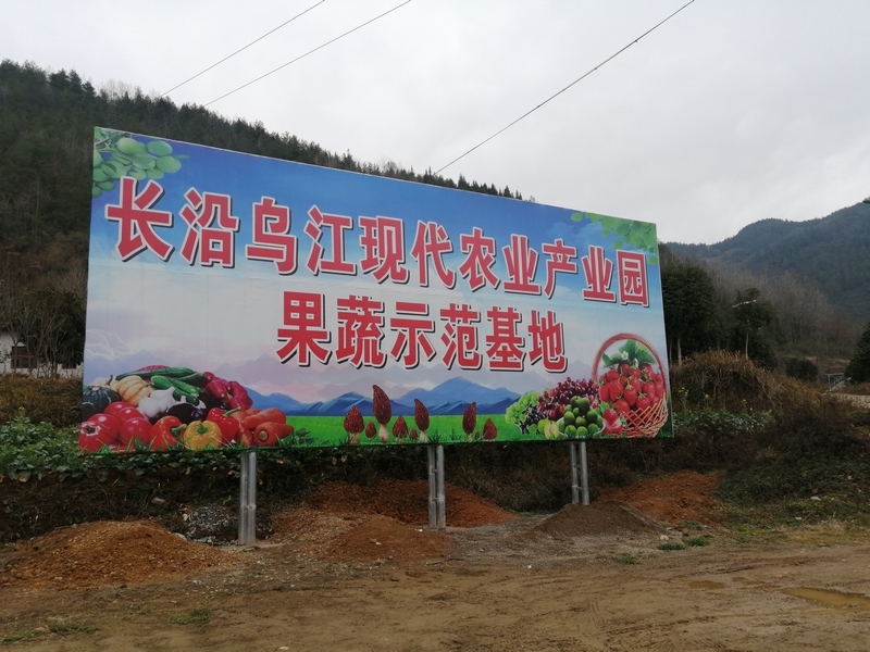 长沿乌江现代农业产业园果蔬示范基地。