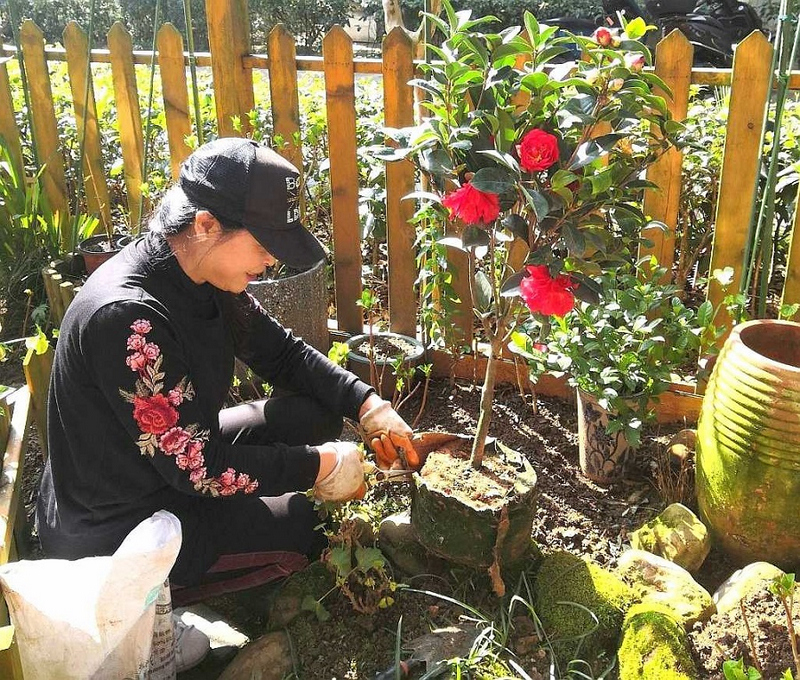居民任艳将心爱的花草搬进“一米花园”。