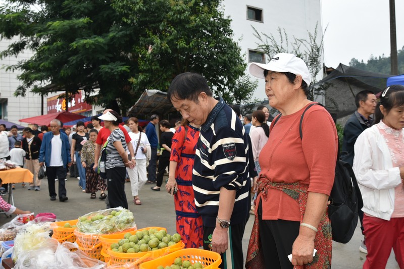 6、重新游客正在挑选水果。 王华秦摄.jpg
