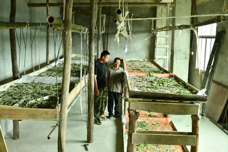 李根与种桑养蚕种植户交流经验.jpg