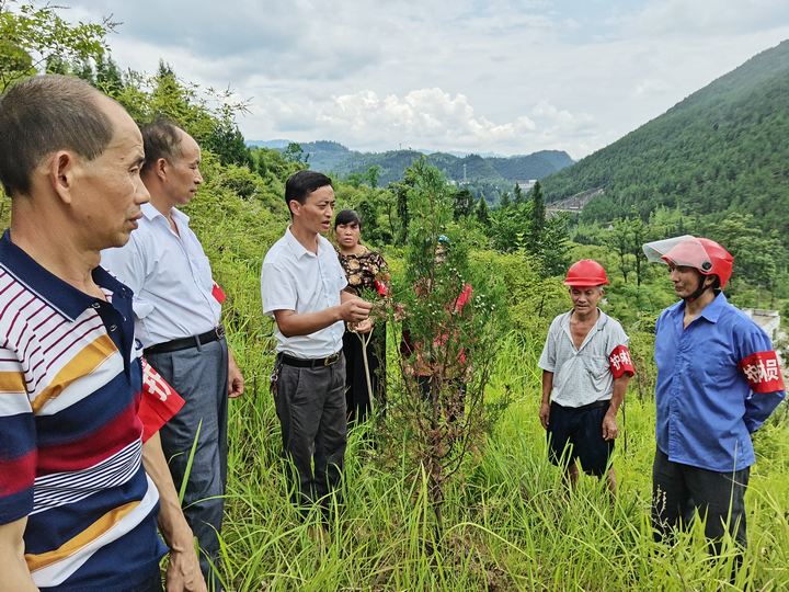 分管林业负责人正在给社区护林员讲解护林知识。杨再成摄